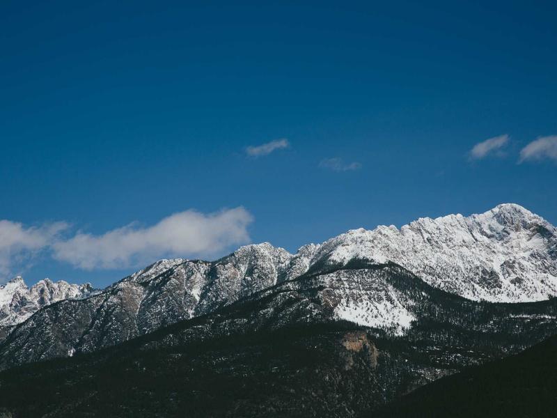 职通未来<br>高端人才内推与招聘通道